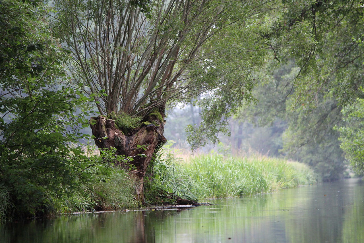 Spreewald Silvester