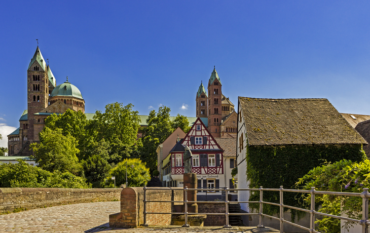 Weinberge Pfalz