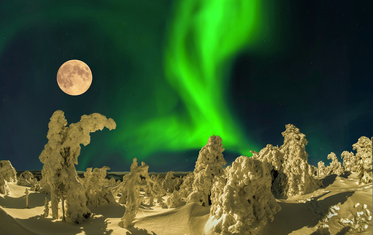 Nordlicht mit Schneelandschaft und verschneiten Bäumen