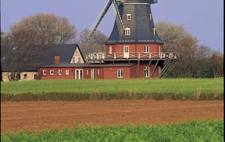 Windmühle