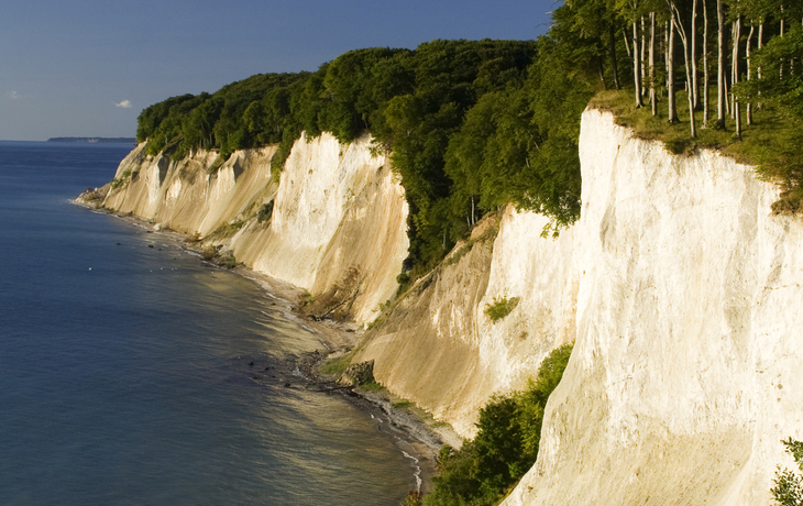 Kreidefelsen Rügen