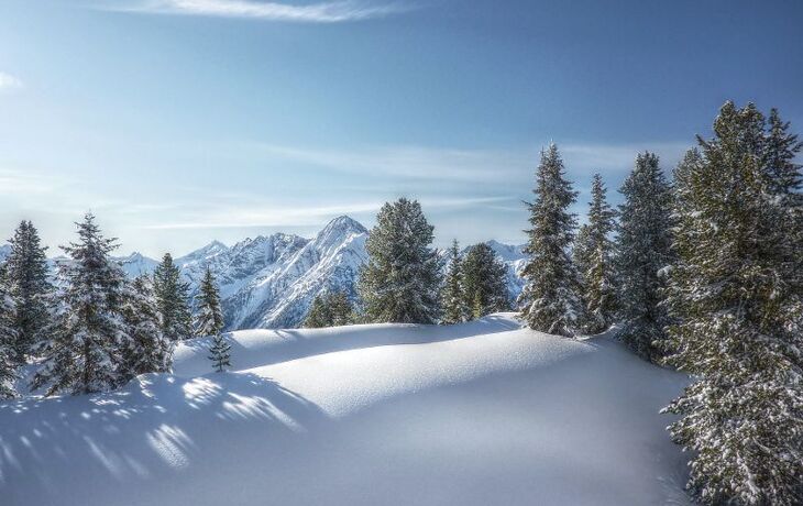 Winterwald in HDR