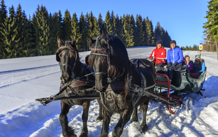 winterliche Kutschfahrt im Pferdeschlitten