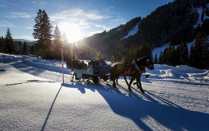 Kutschfahrt nahe St. Johann im Pongau