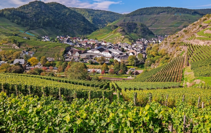 Blick über das Dorf von Mayschoß in Ahrtal, Deutschland