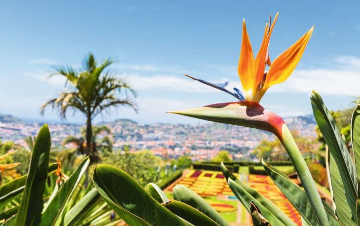 Botanischer Garten Funchal