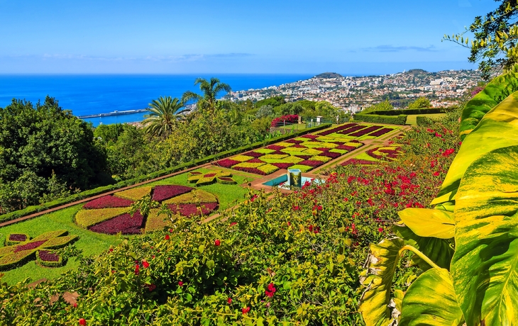 Madeira Botanical Garden